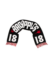 Load image into Gallery viewer, STADIUM SCARF