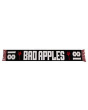 Load image into Gallery viewer, STADIUM SCARF