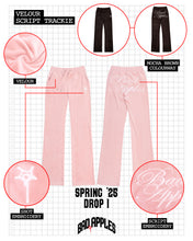 Load image into Gallery viewer, B.A. BADDIES CURSIVE VELOUR TRACKSUIT PANTS PINK