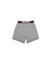 Load image into Gallery viewer, SF SPORTS SHORT GREY